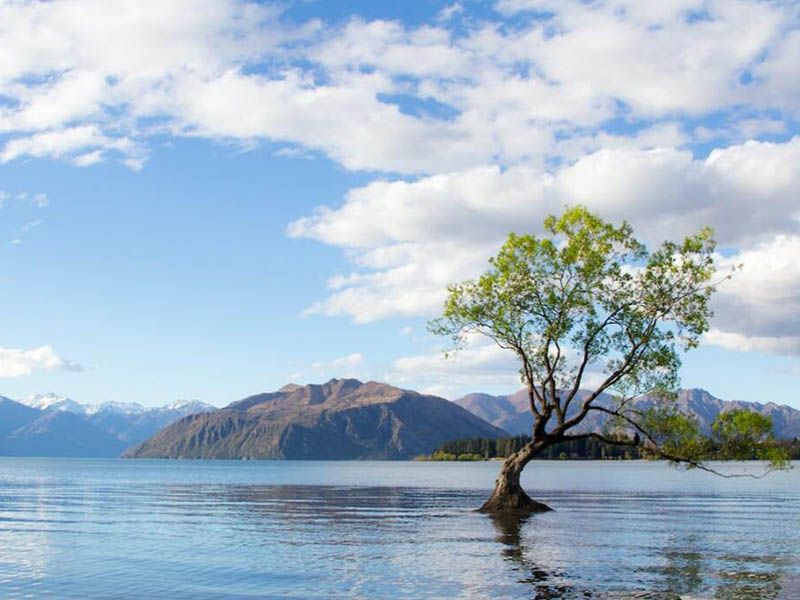 水质色度检测方法原理