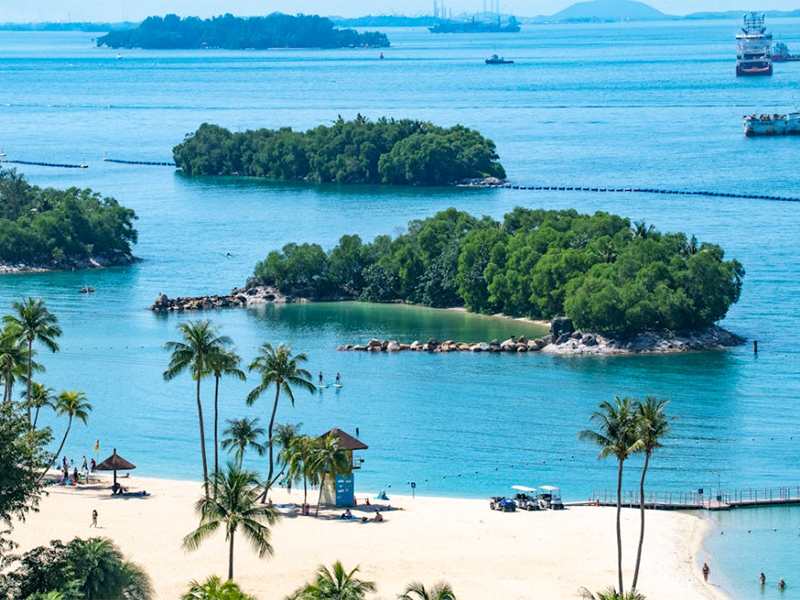 叶绿素在线监测仪操作前的准备