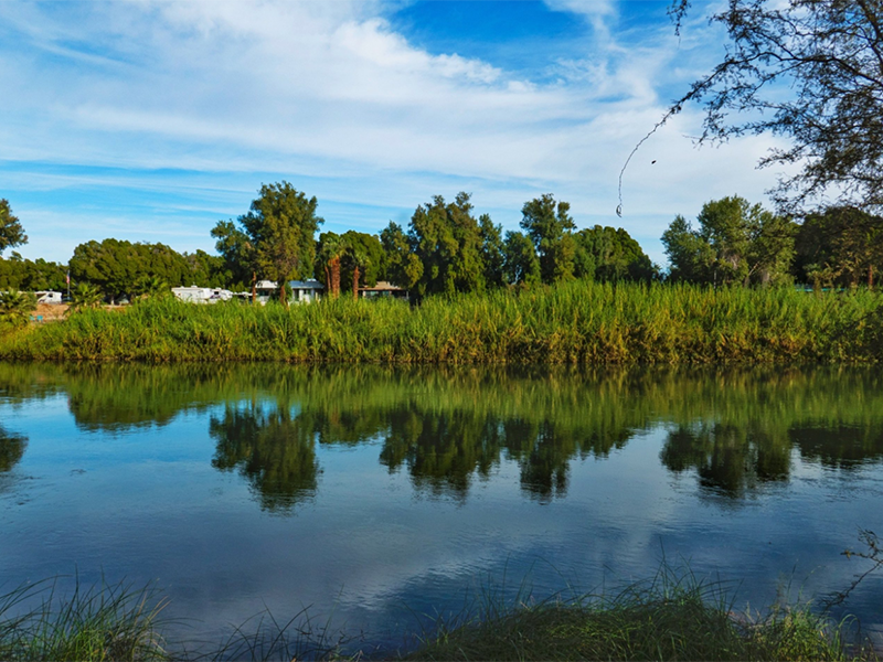 高锰酸盐指数和COD有什么关系