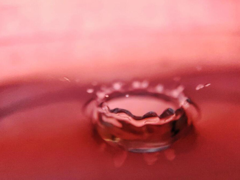 【汇总】水质大肠菌群、粪大肠菌群和大肠埃希氏菌检测意义