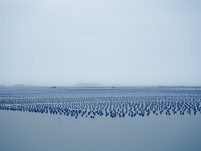 水产养殖中溶解氧含量的影响