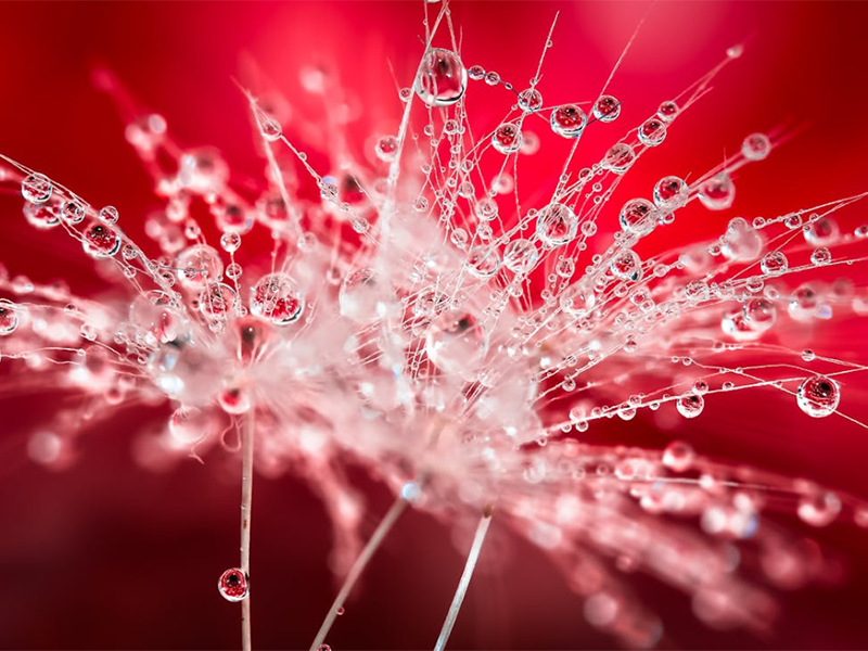 氨氮测定仪使用注意事项