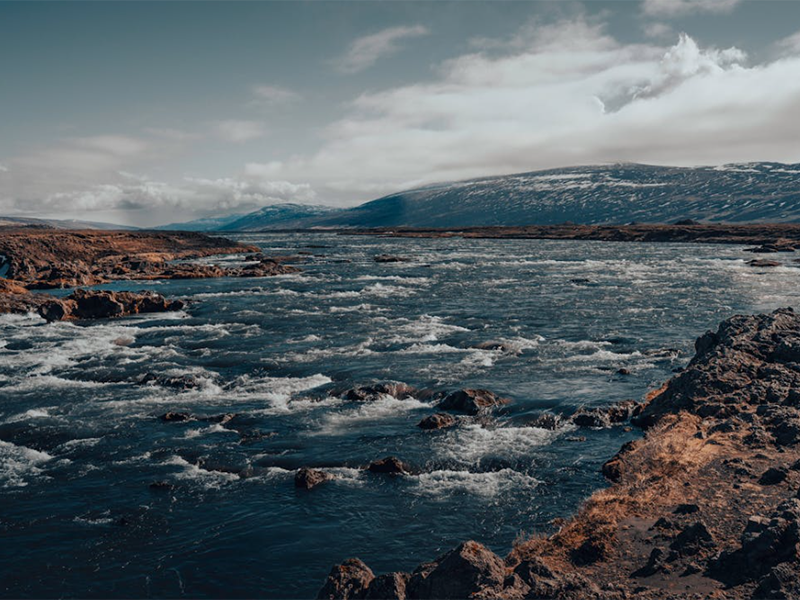 水体温度检测的必要性