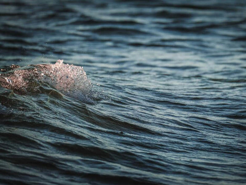 水体溶解氧常用检测方法