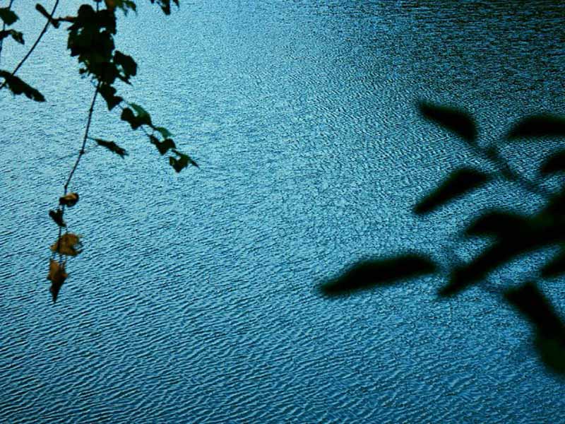 氨氮在线监测仪数据偏低怎么办