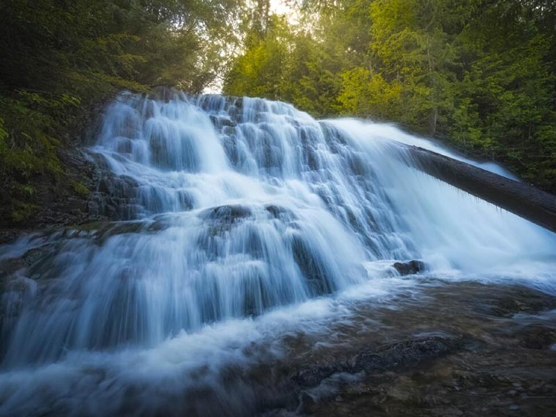 余氯分析仪类型特点