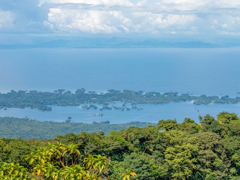 水质氯化锌检测仪工作原理