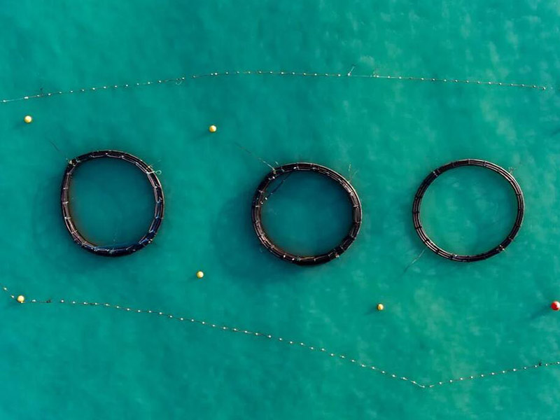 红外分光测油仪选型要求