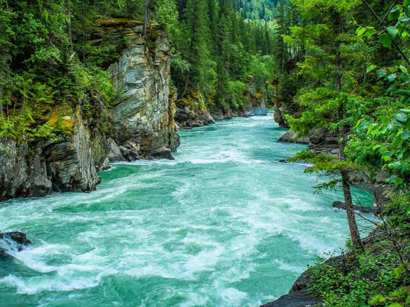 水质重金属测定仪操作经验