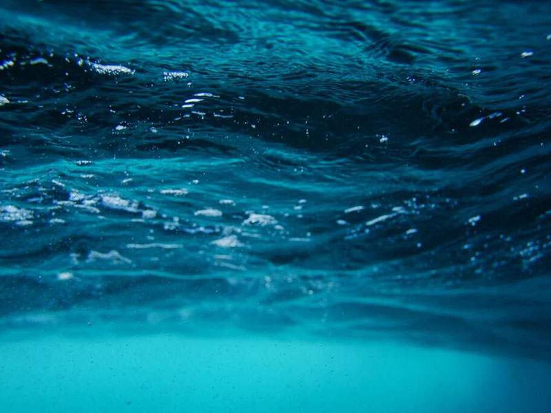 多参数半岛综合体育合法吗
历史记录查询方法