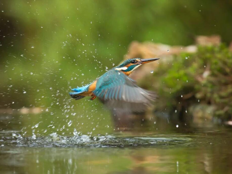 不同水体磷酸根限值