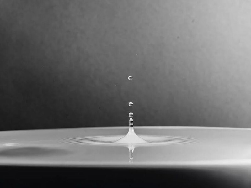 水中微生物有哪些