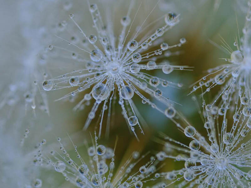 如何区分自来水中的颗粒和浊度