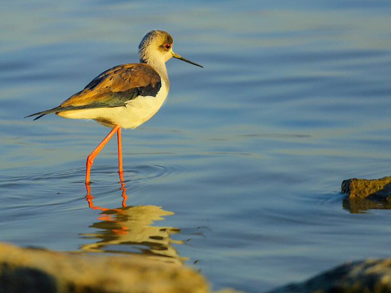 水质盐度是什么