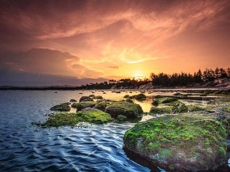 如何清洗总氮检测仪