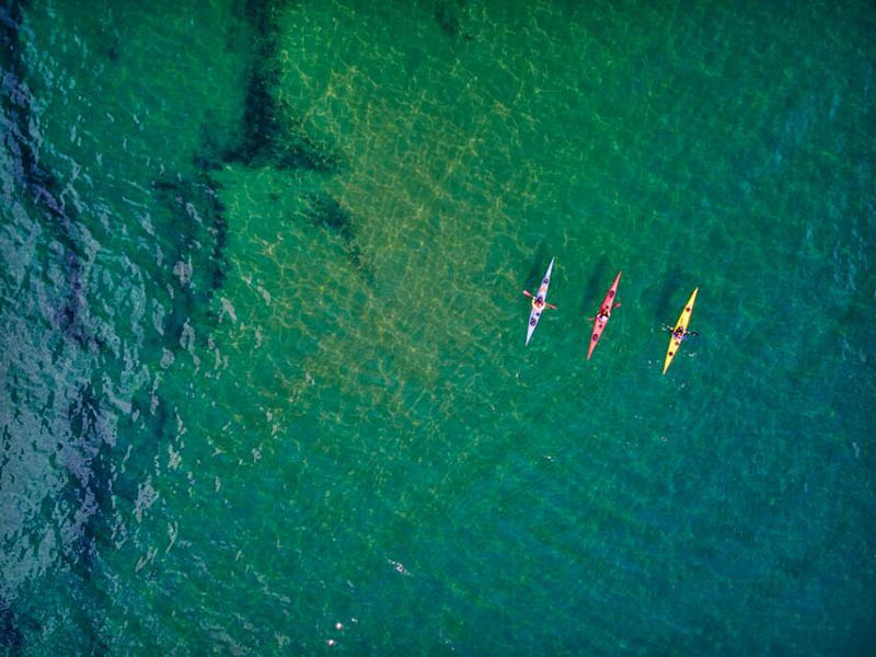 蓝绿藻爆发对饮用水原水的危害
