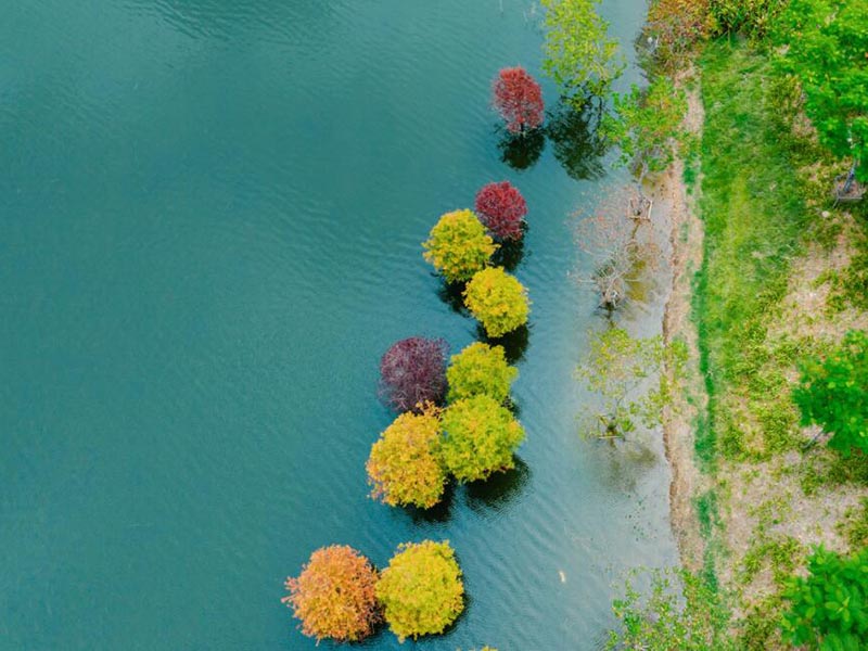 便携式浊度检测仪核心应用场景