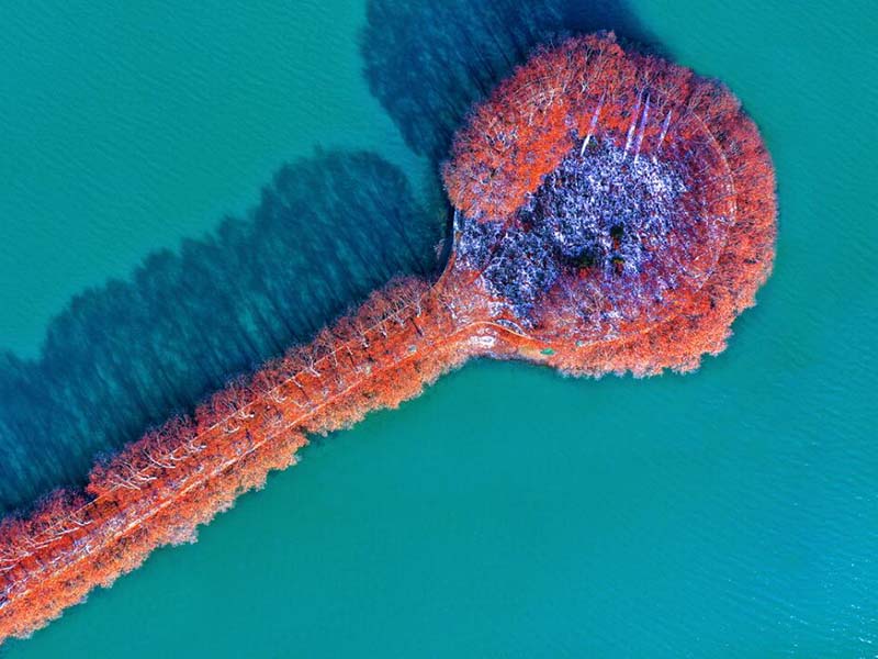 水质好坏如何检测